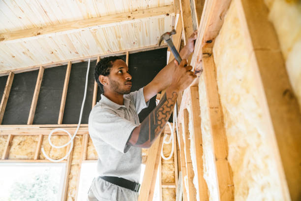 Best Energy-efficient Insulation  in Lansing, IL