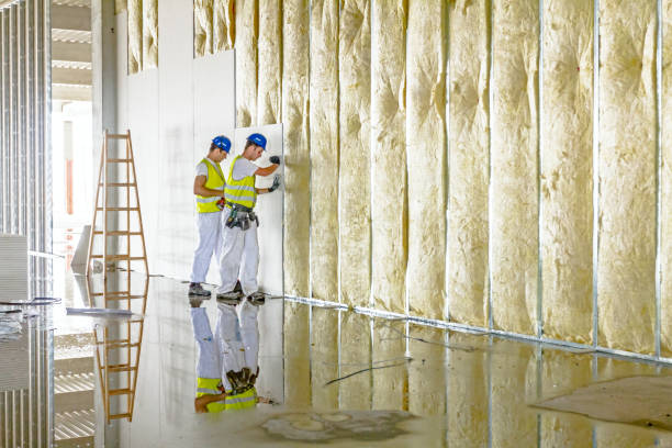 Best Attic Insulation Installation  in Lansing, IL